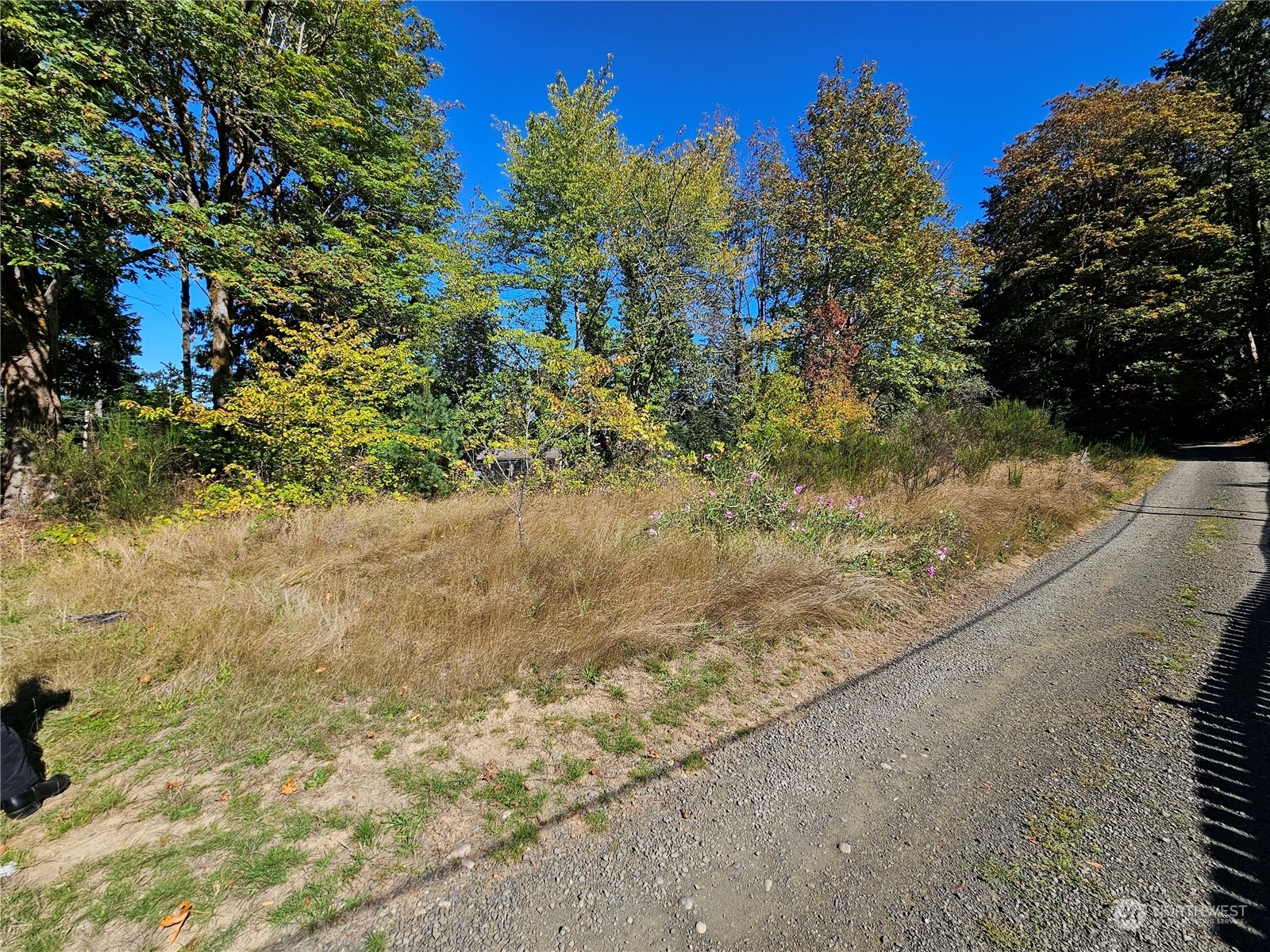 Property Photo:  22550 NE SR-3 Highway  WA 98528 