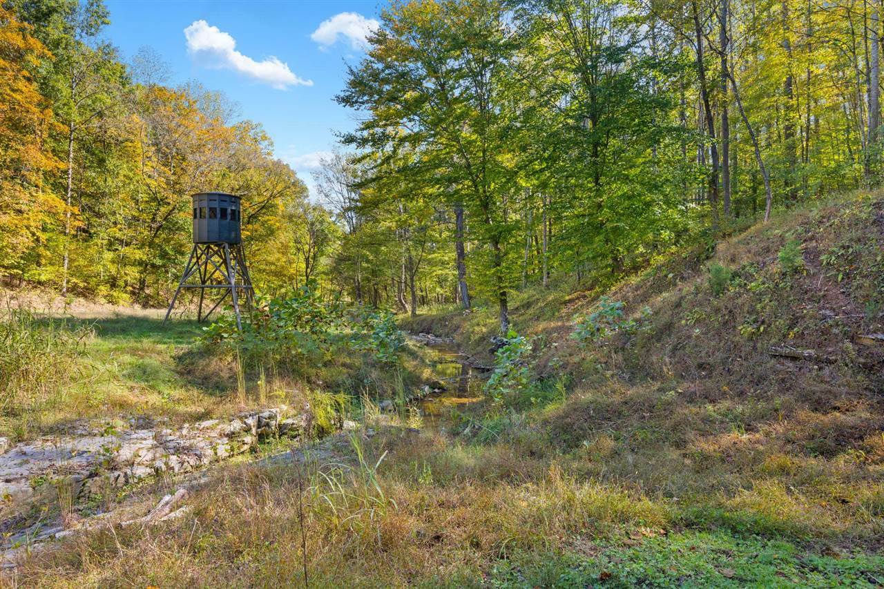 Property Photo:  526 E Glen Lily Road  KY 42765 