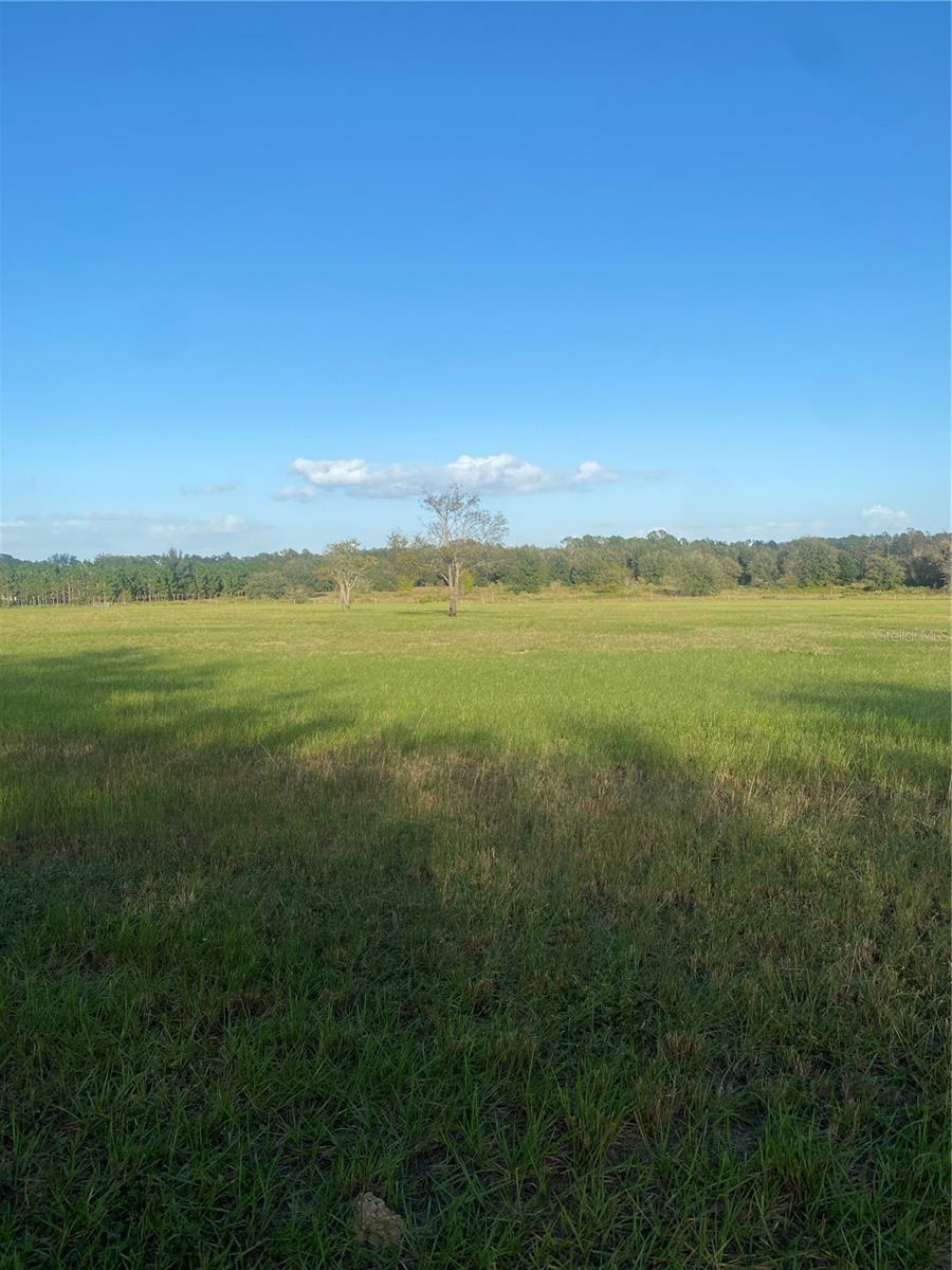 Property Photo:  Empire Church Road  FL 34736 