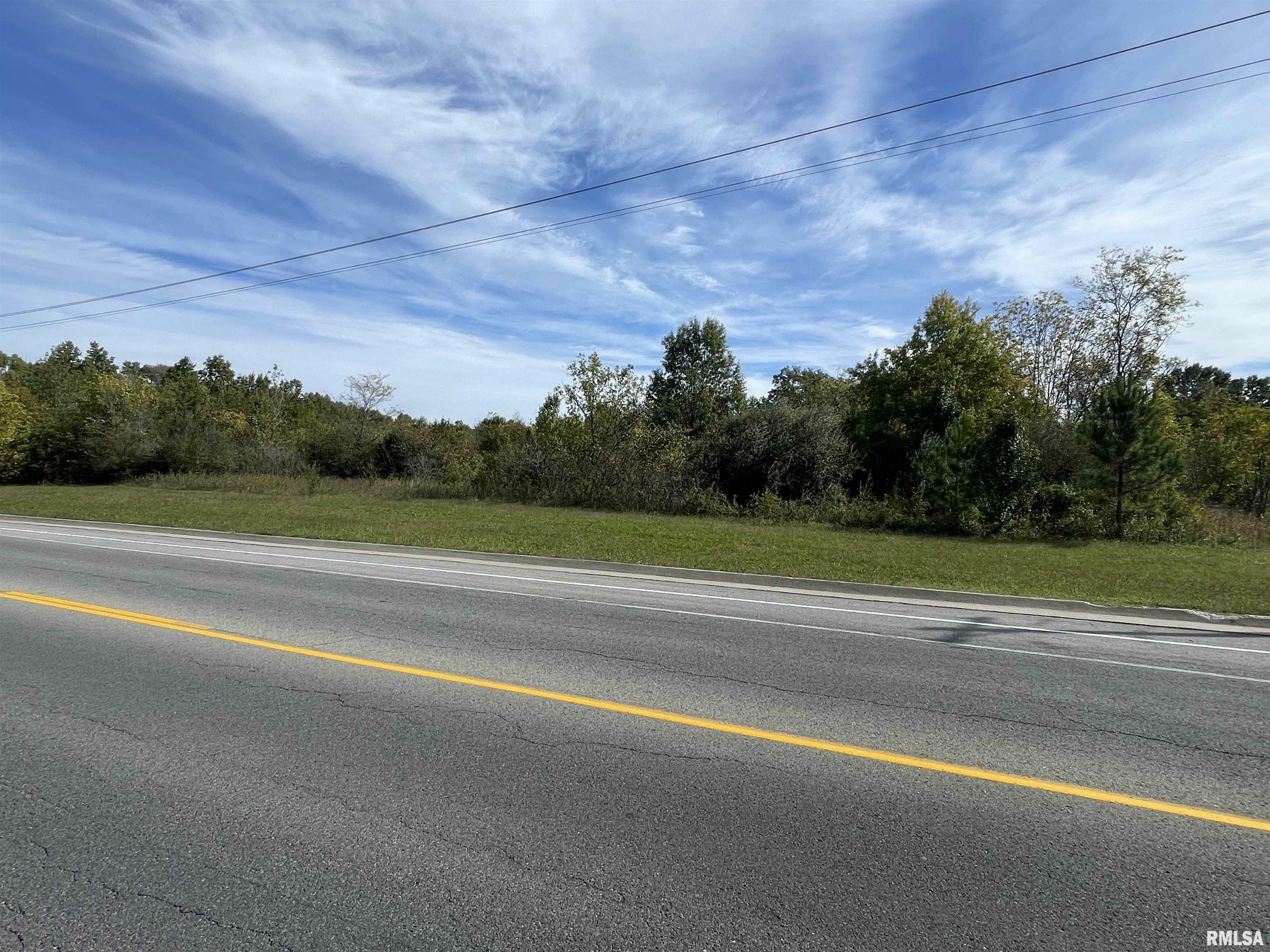 Property Photo: 2480 Meadville Lane IL 62901