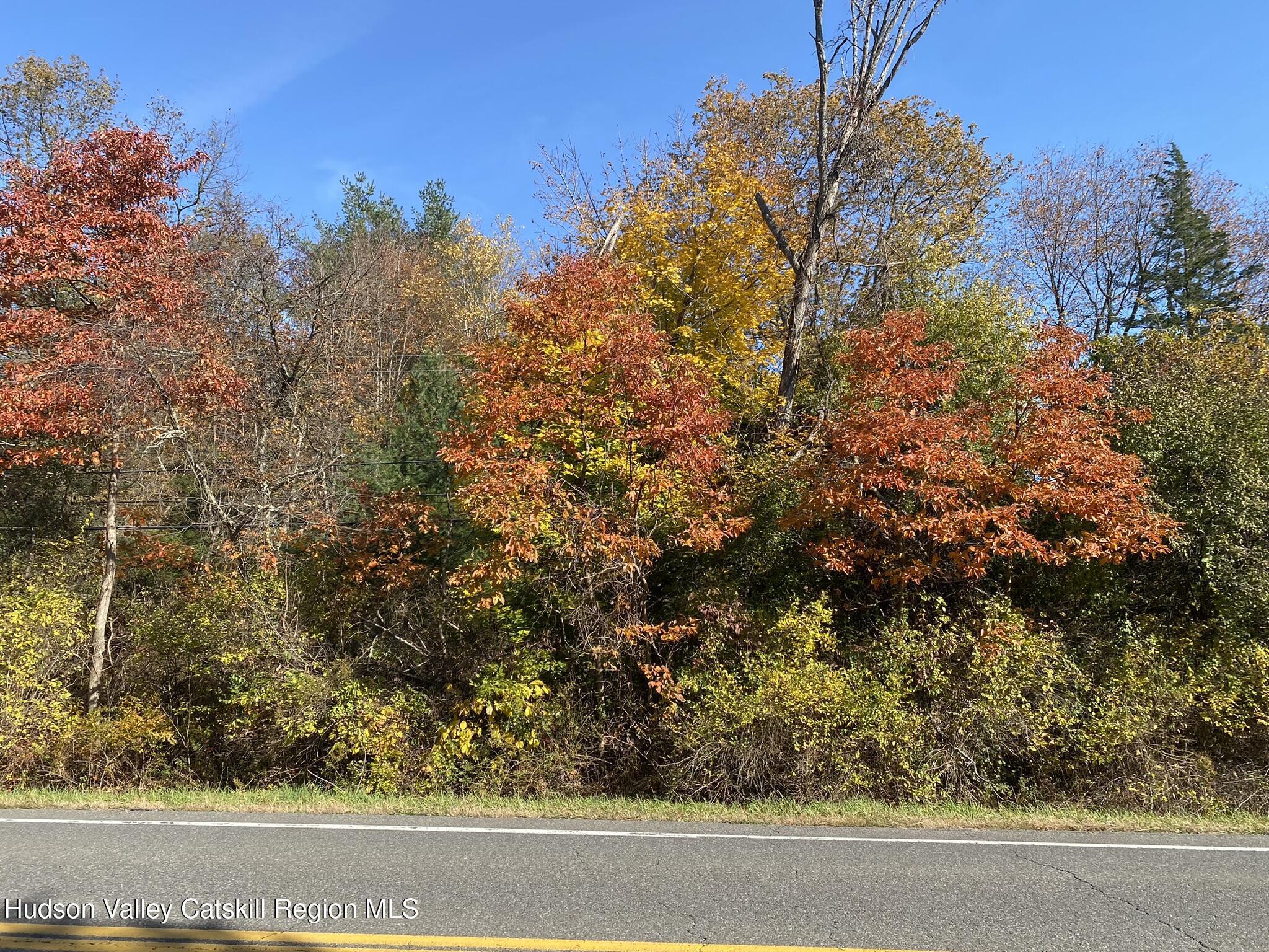 Property Photo: 0 Beaver (Jackson Crs) NY 12567