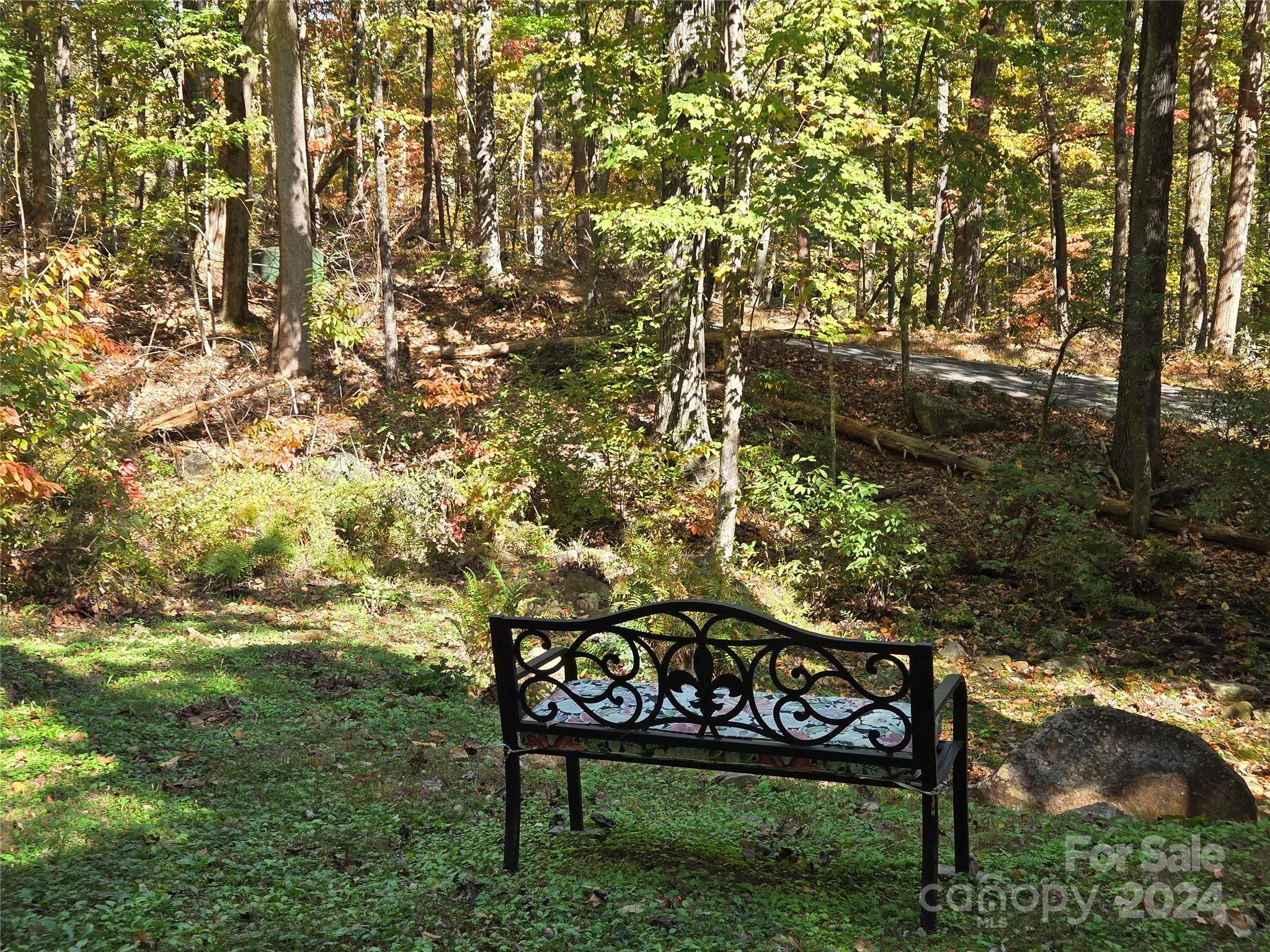 Property Photo:  443 Bolt Road  NC 28746 