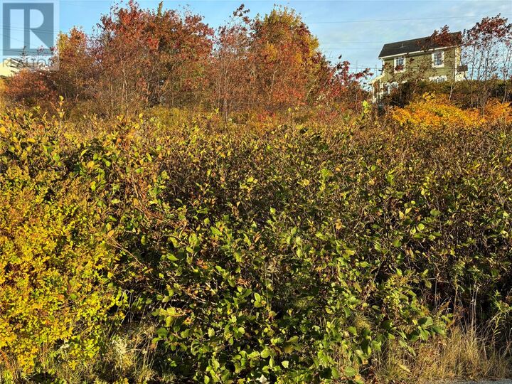 Property Photo:  61 Badcock Boulevard  NL A0A 1G0 
