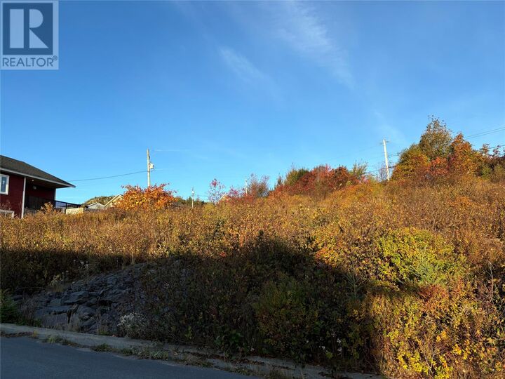 Property Photo:  57 Badcock Boulevard  NL  
