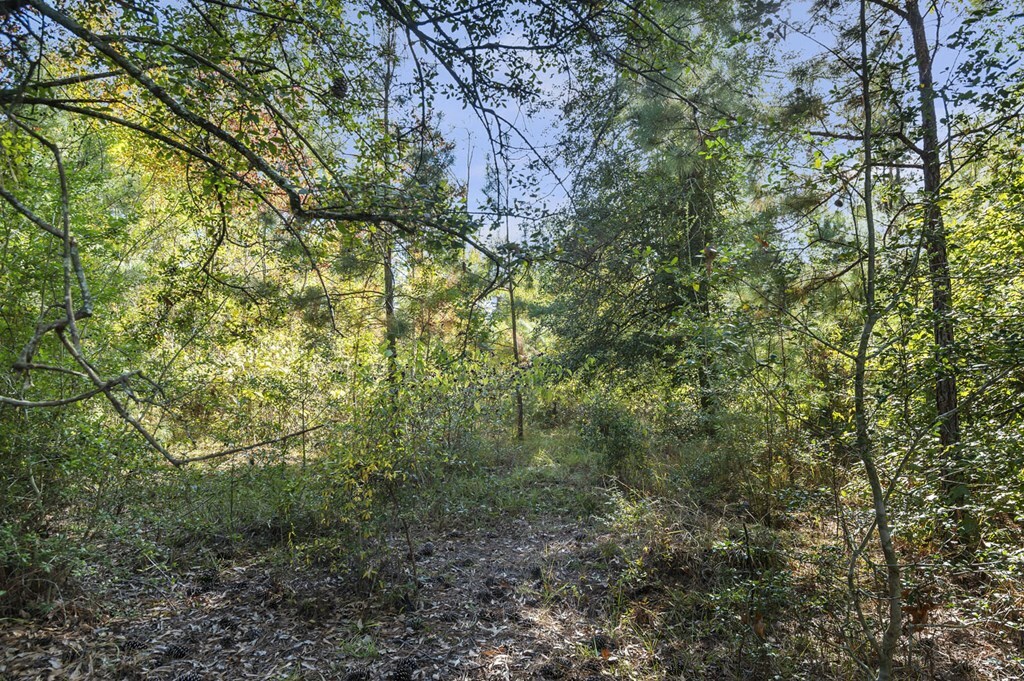 Property Photo:  R32313 Sandy Creek Road  TX 75980 