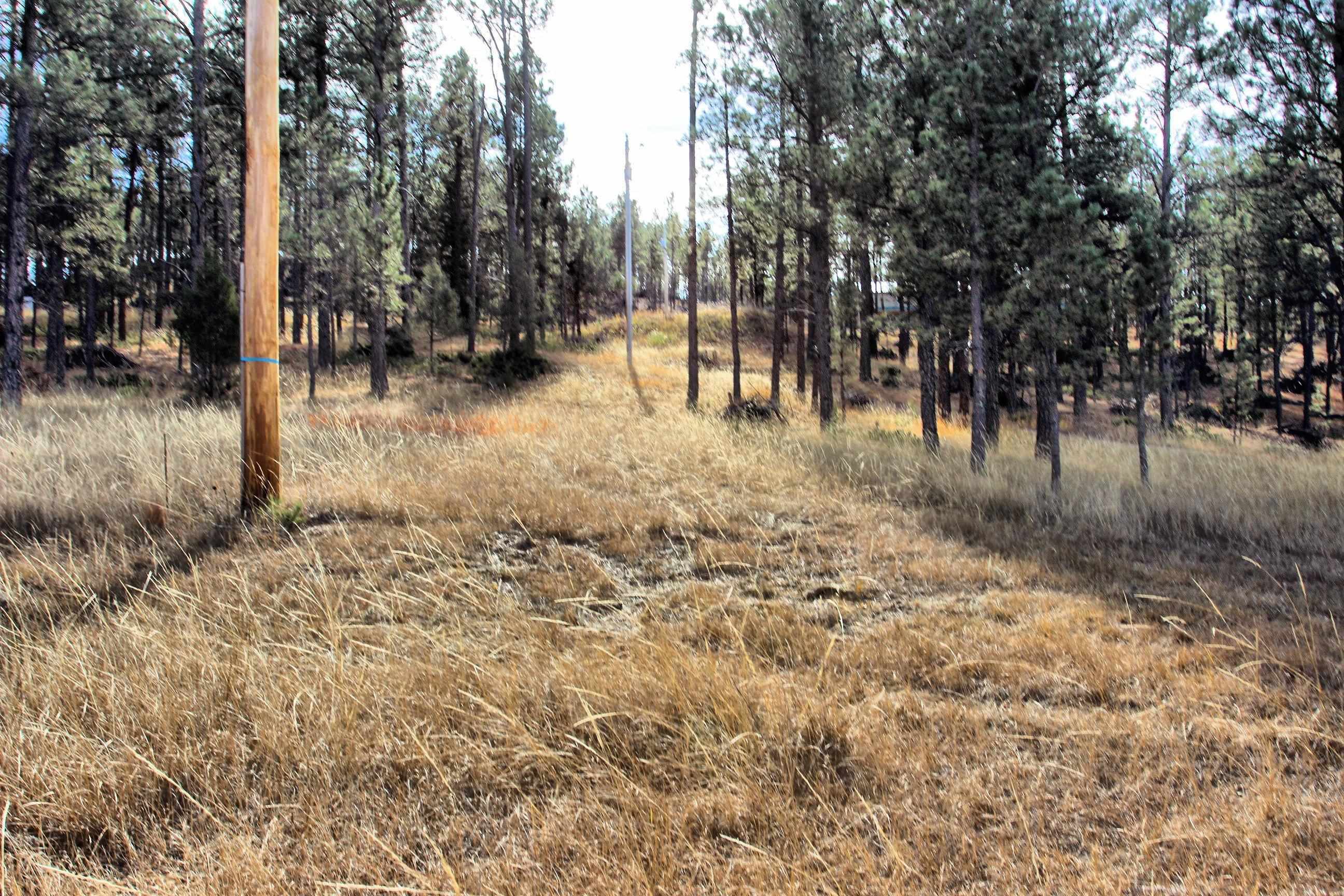 Property Photo:  Lot 3 &Amp 6 Red Rock Lane  SD 57773 