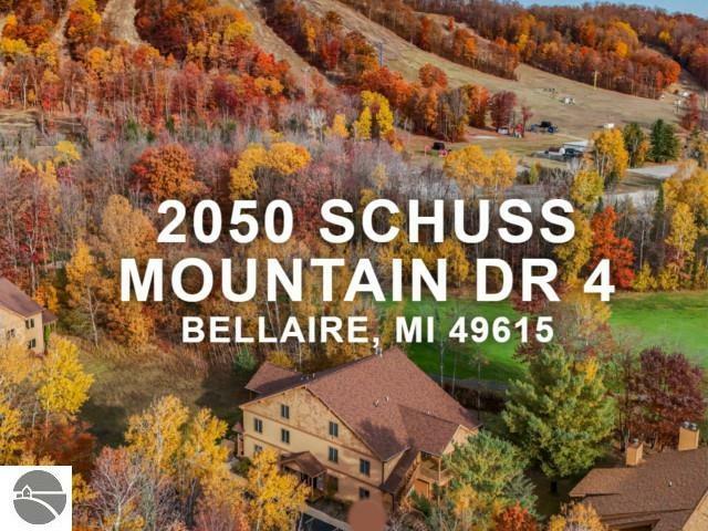 2050 W Schuss Mountain Drive  Bellaire MI 49615 photo