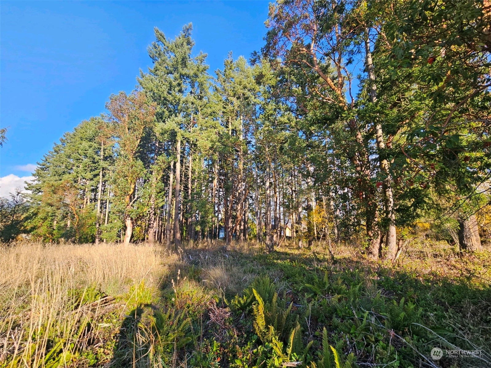 Property Photo:  0  Lot 3 West 8th Street  WA 98363 