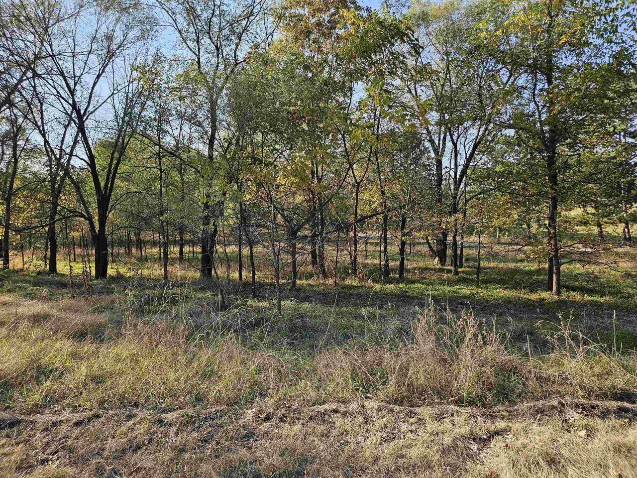 Property Photo:  Lot 4///Csm 415 North 2nd Court  WI 53952 