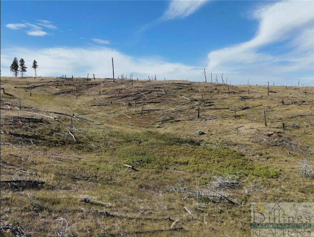 Property Photo:  Tbd Buckskin Road  MT 59072 