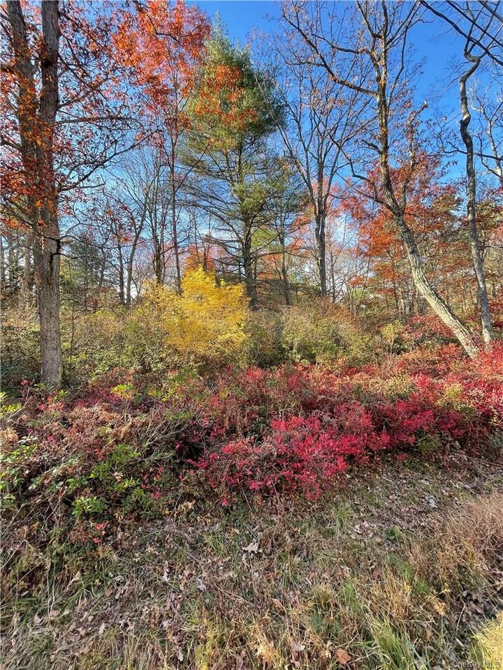 Property Photo: Lot 84 Forestburgh Road NY 12737