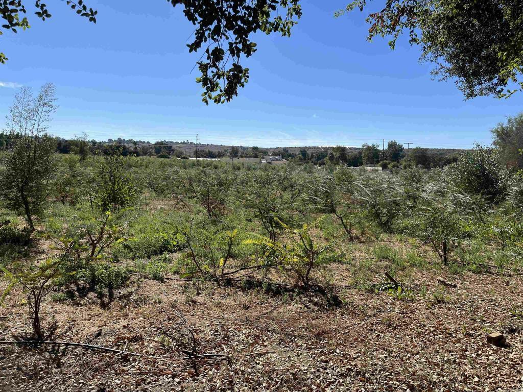 Property Photo:  13838 Hilldale Road  CA 92082 