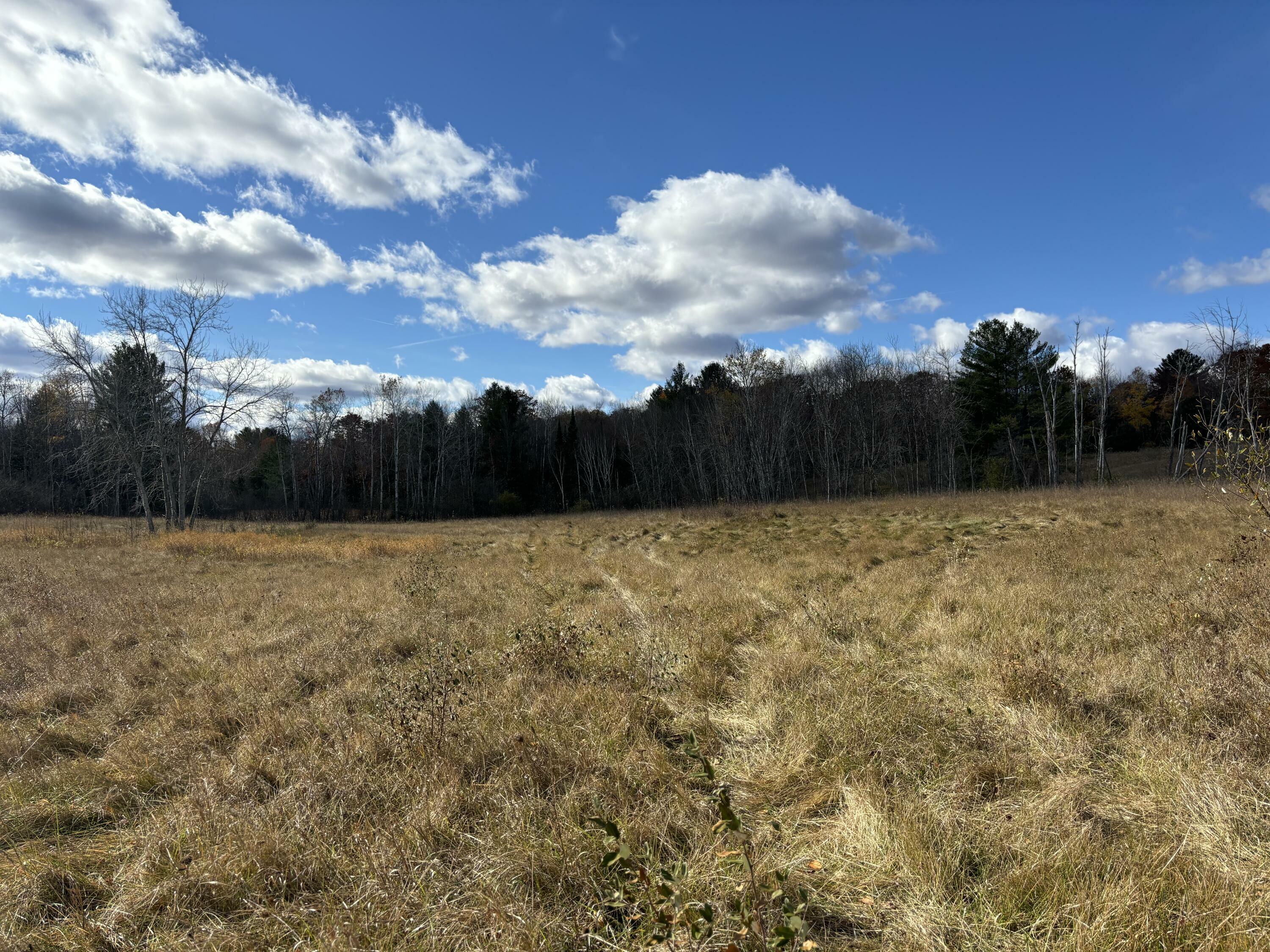 Property Photo:  Gray Road Road  MI 48661 