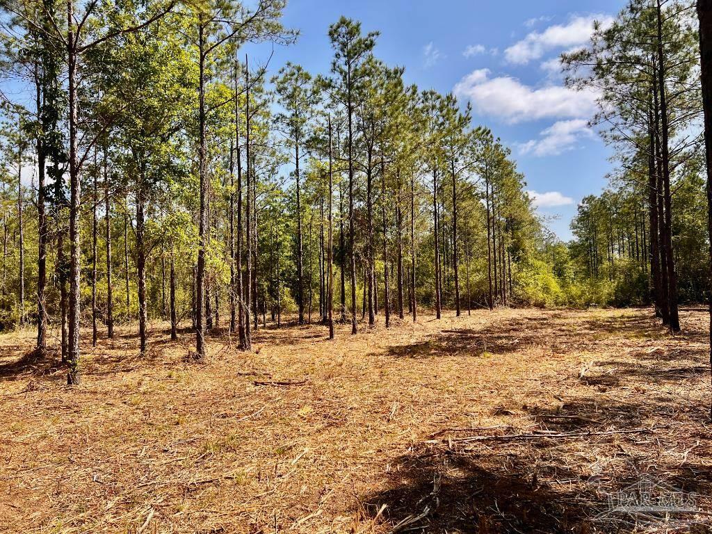 Property Photo: Lot 93 Turning Leaf Rd FL 32571