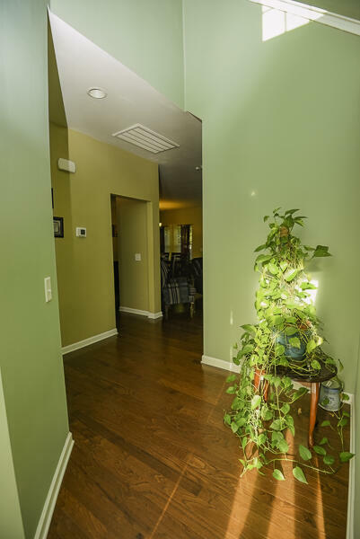 Property Photo:  146 Longford Drive  SC 29483 