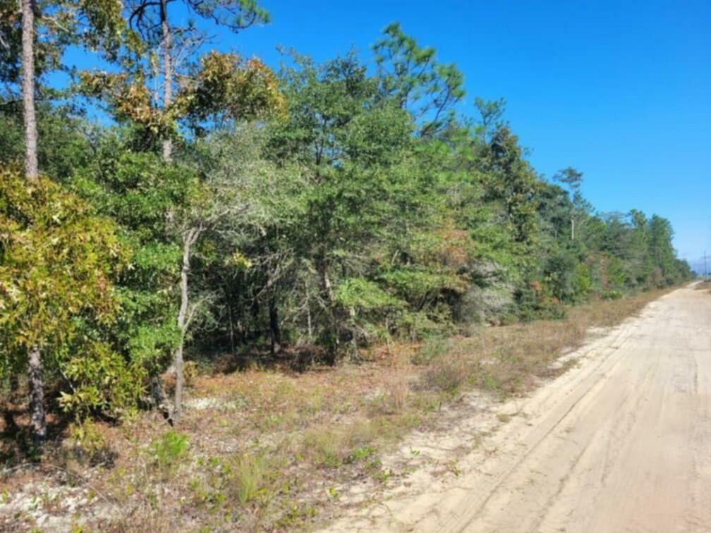 Lot 1 Blk 10 Golden Rod Drive  Defuniak Springs FL 32433 photo