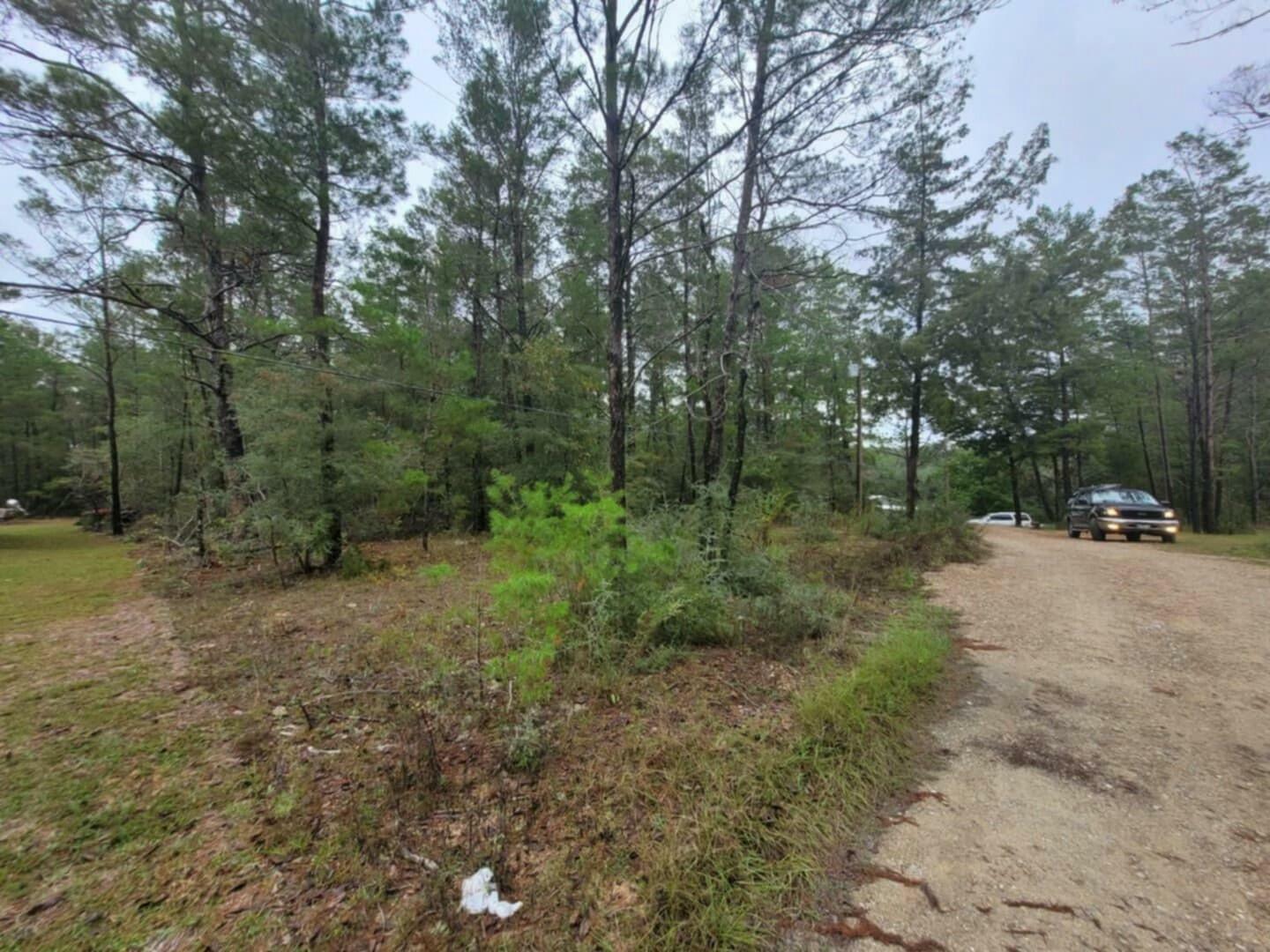 Lot 2 Blk 101 E. Bluebottle Court  Defuniak Springs FL 32433 photo