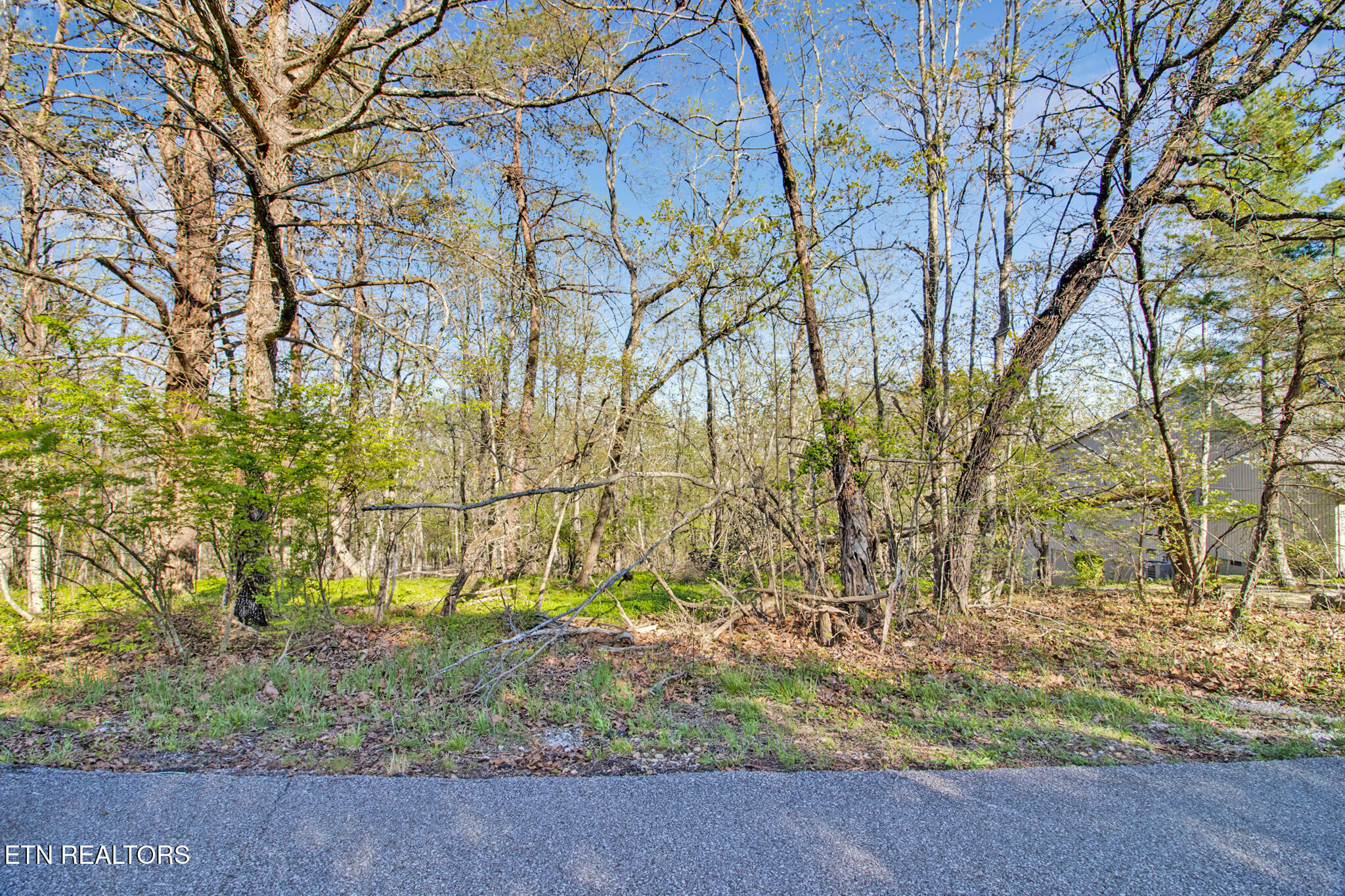 Property Photo:  165 Brokenwood Lane  TN 38558 