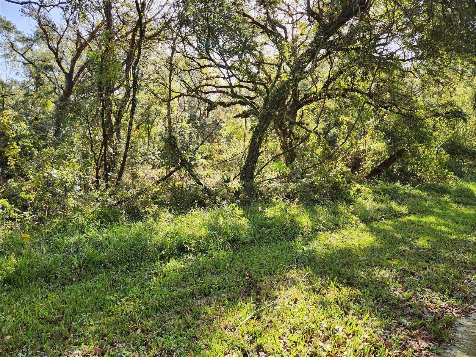 Property Photo:  Table Rock Drive  FL 33597 