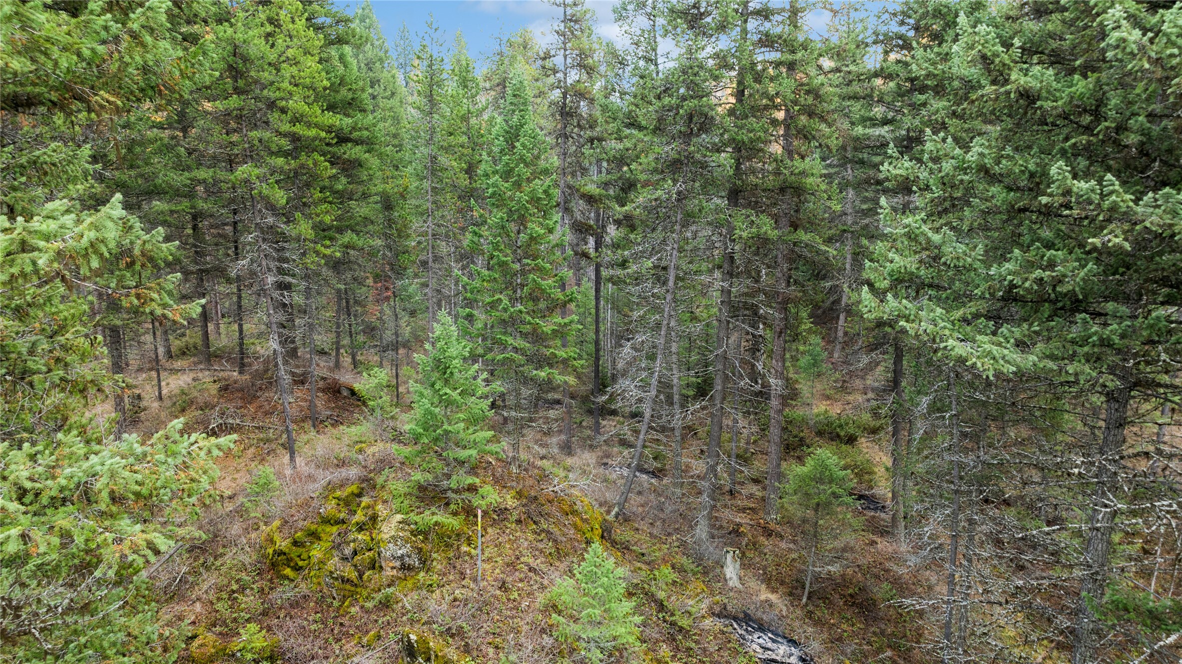 Property Photo:  Nhn Bootjack Lake Road  MT 59937 