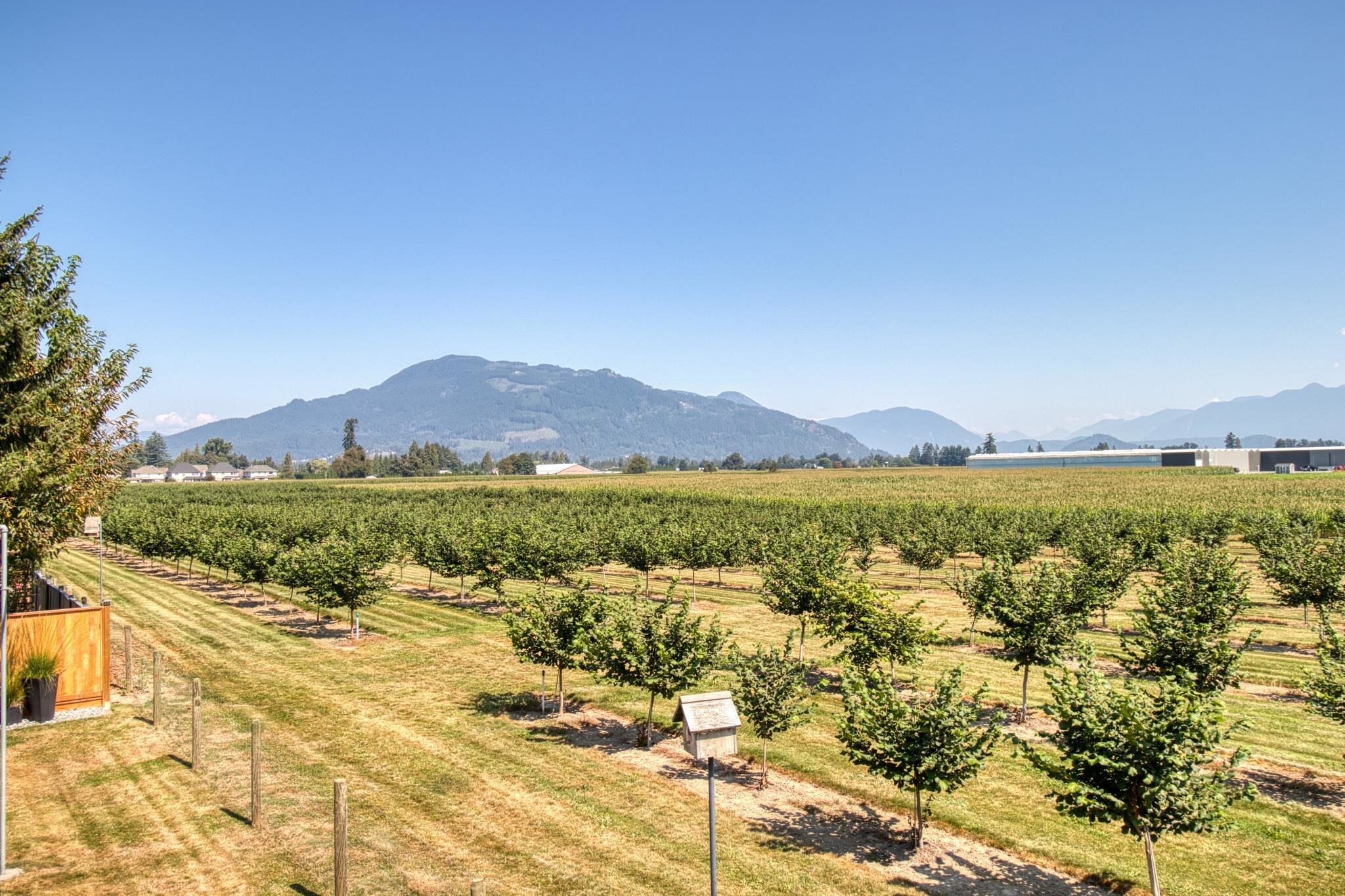 Photo de la propriété:  10254 Wedgewood Drive  BC V2P 6B9 