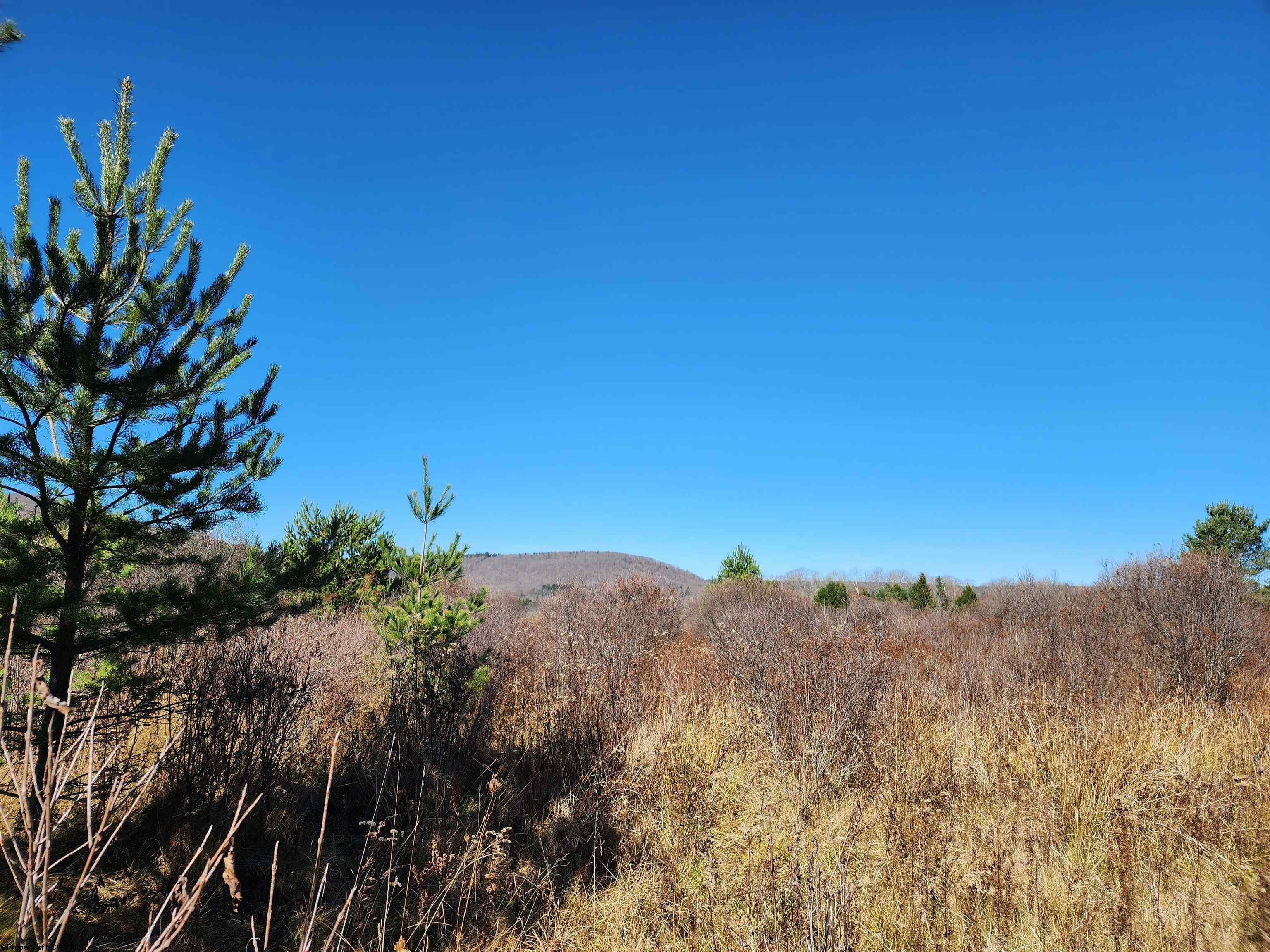 Property Photo:  Tract C Cortland Road  WV 26260 