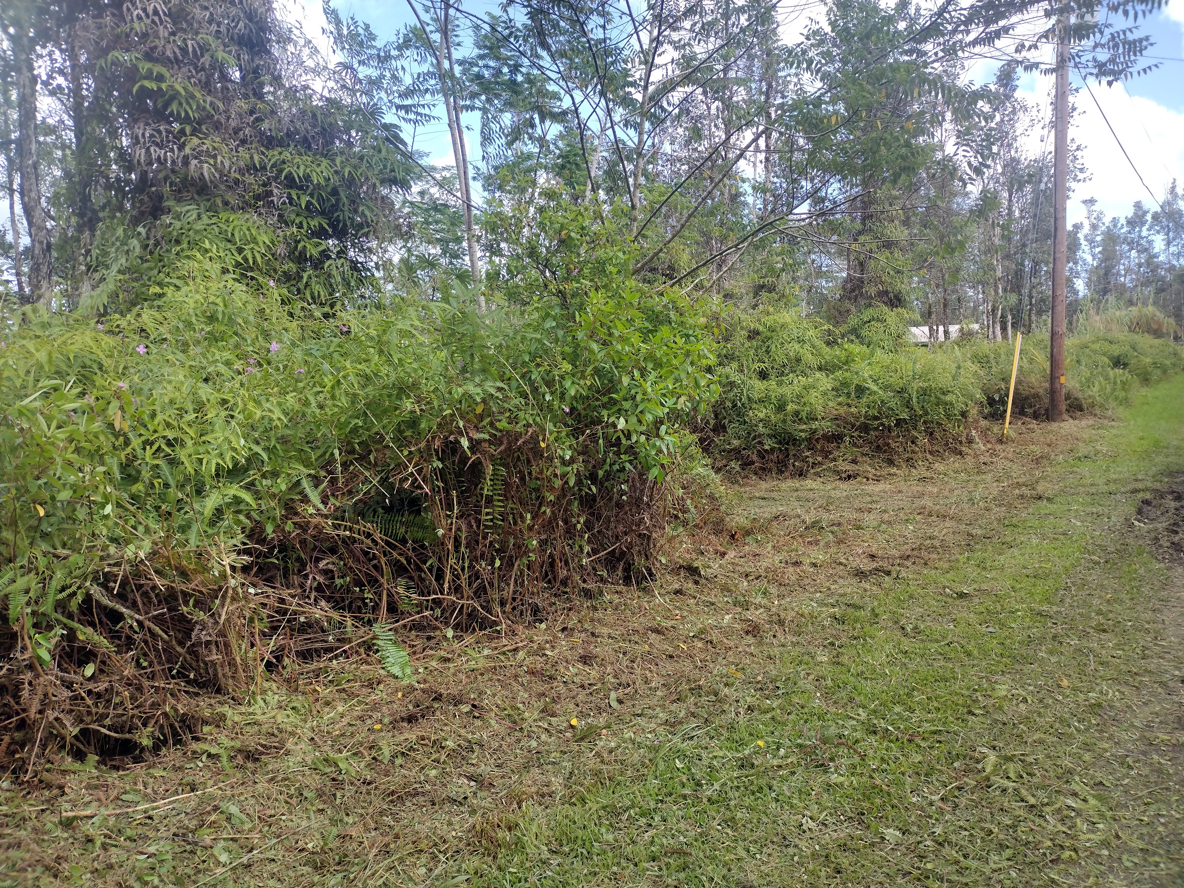 Property Photo:  Lanai Rd  HI 96778 