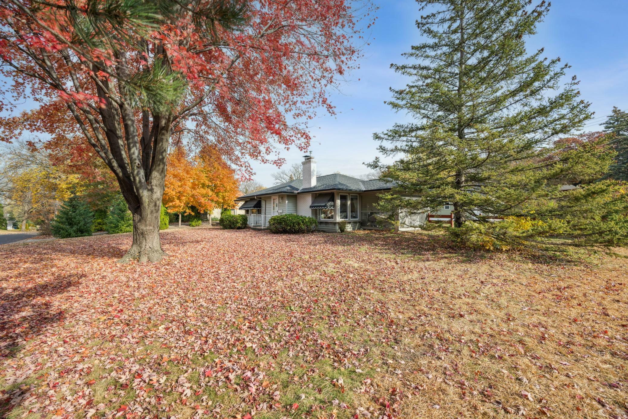 Property Photo:  3100 Orchard Avenue N  MN 55422 