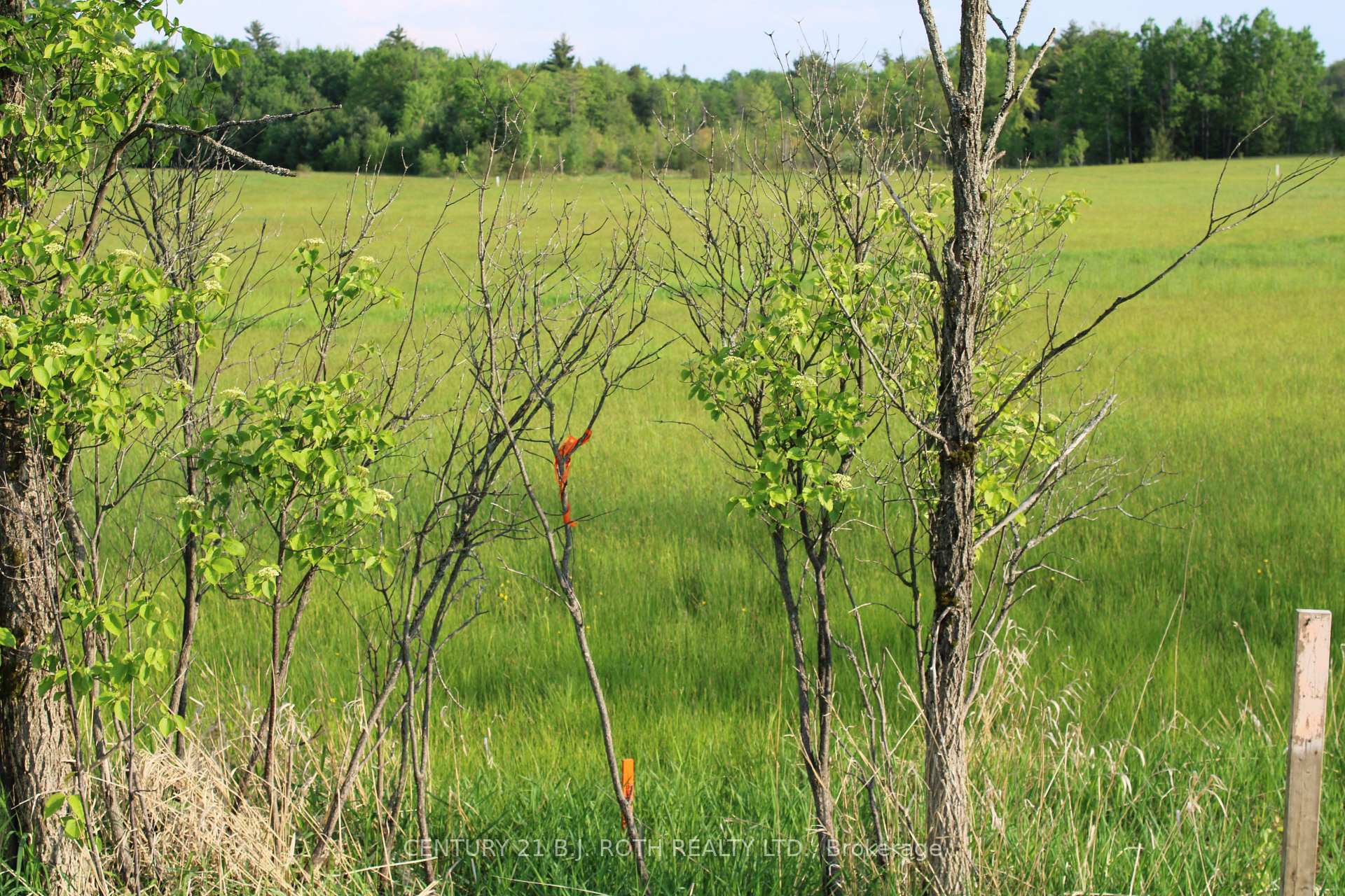 Photo de la propriété:  1521 Kilworthy Road Lot 2  ON P0E 1G0 