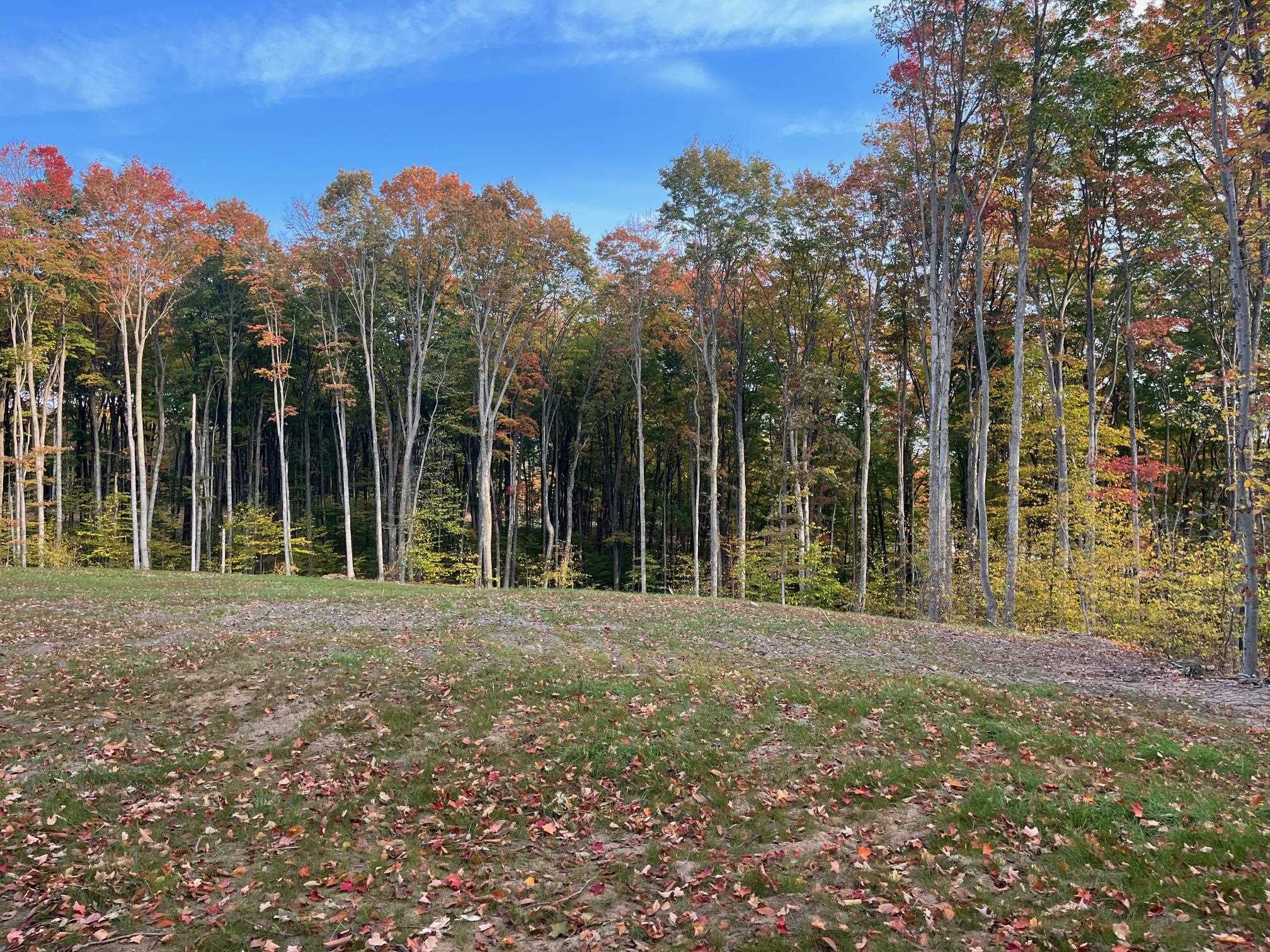 Property Photo:  01 S Bright Road  MI 49664 