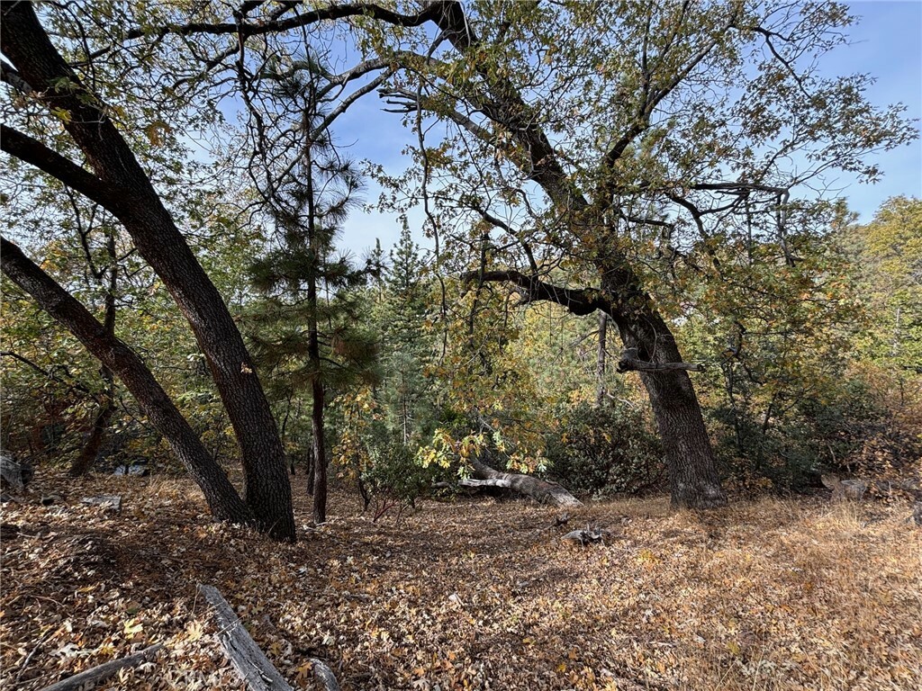 Property Photo: 0 Manitoba Drive CA 92352