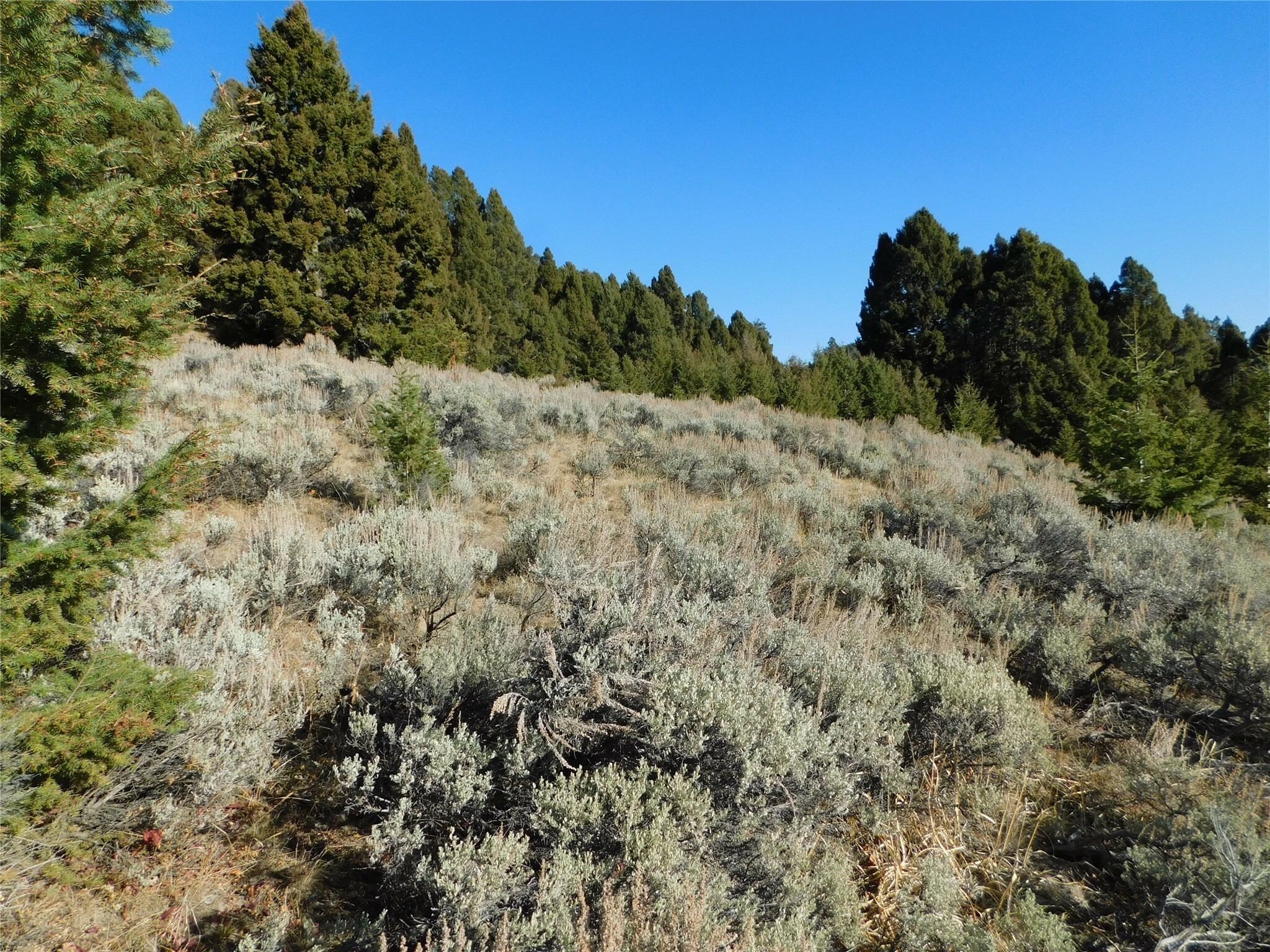 Property Photo:  Nhn Flume Gulch Road  MT 59701 