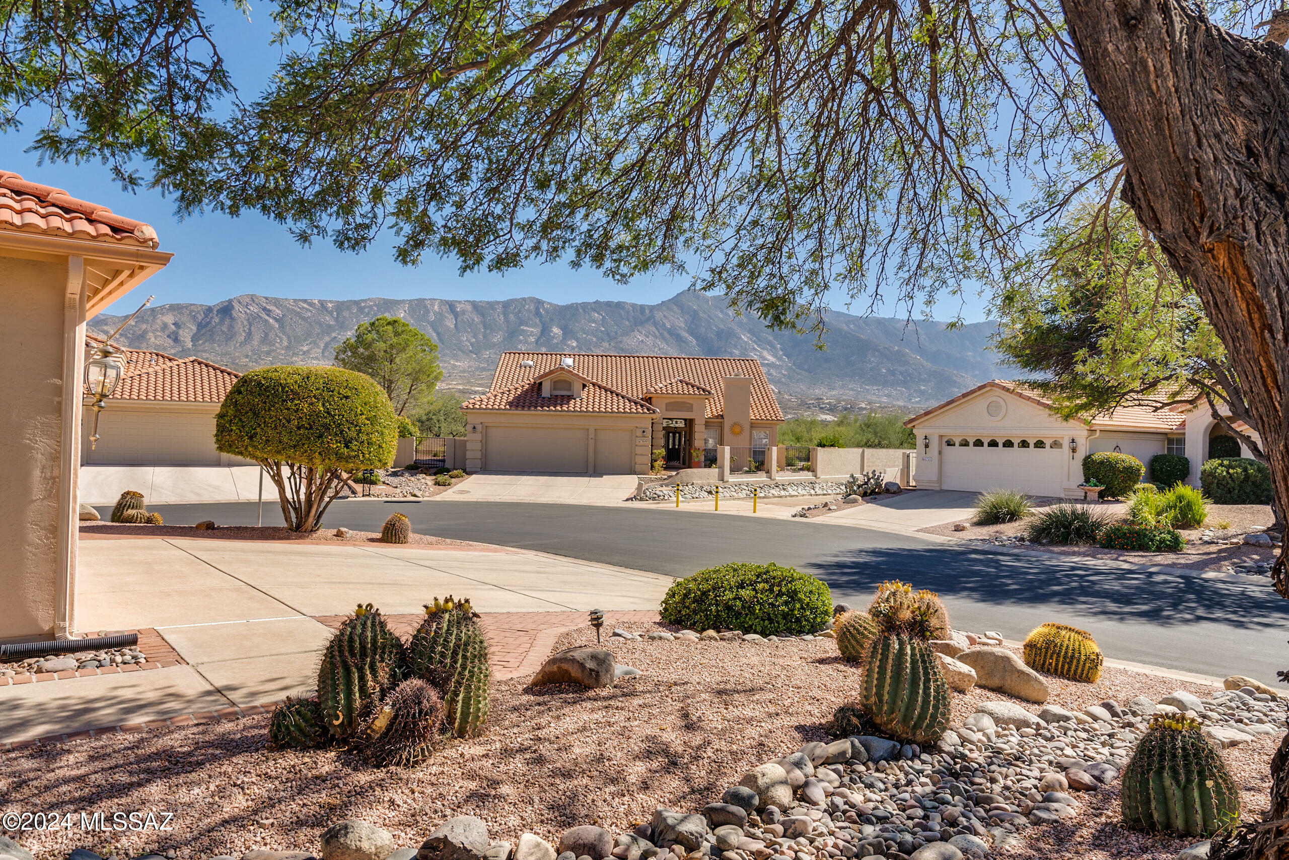 Property Photo:  64730 E Canyon Shadows Lane  AZ 85739 