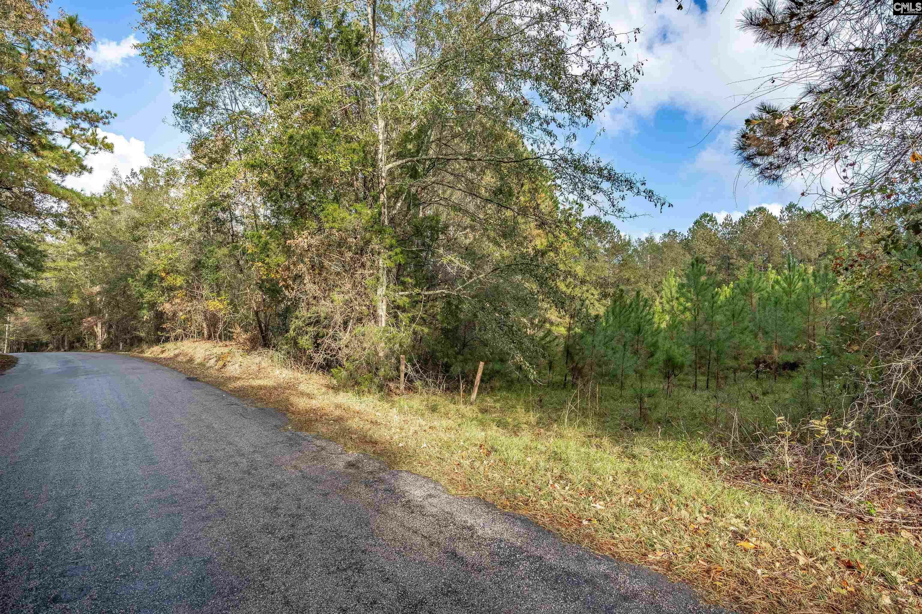 Property Photo:  0 Devils Backbone  SC 29070 