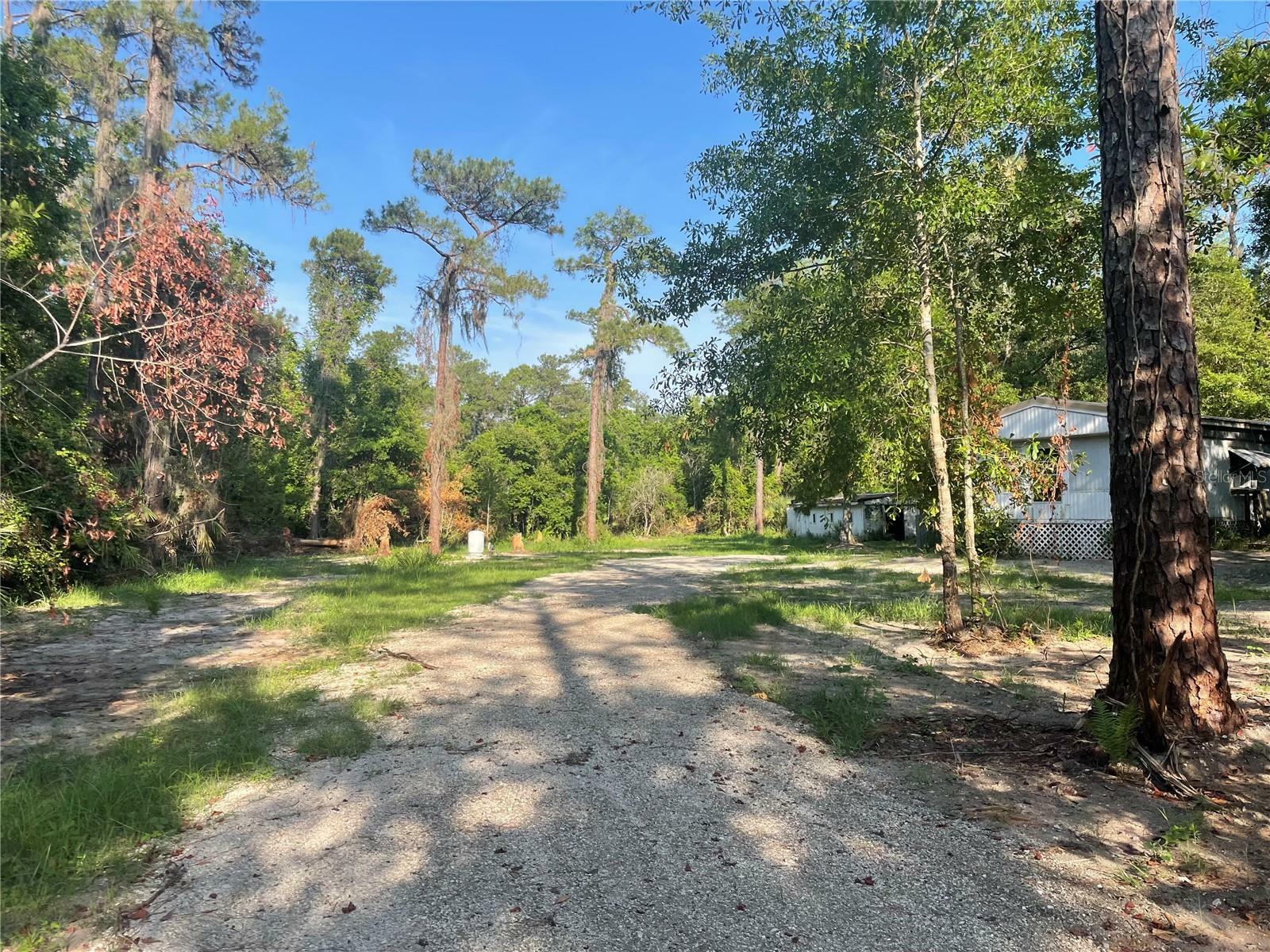 Property Photo:  567 Harney Heights Road  FL 32732 