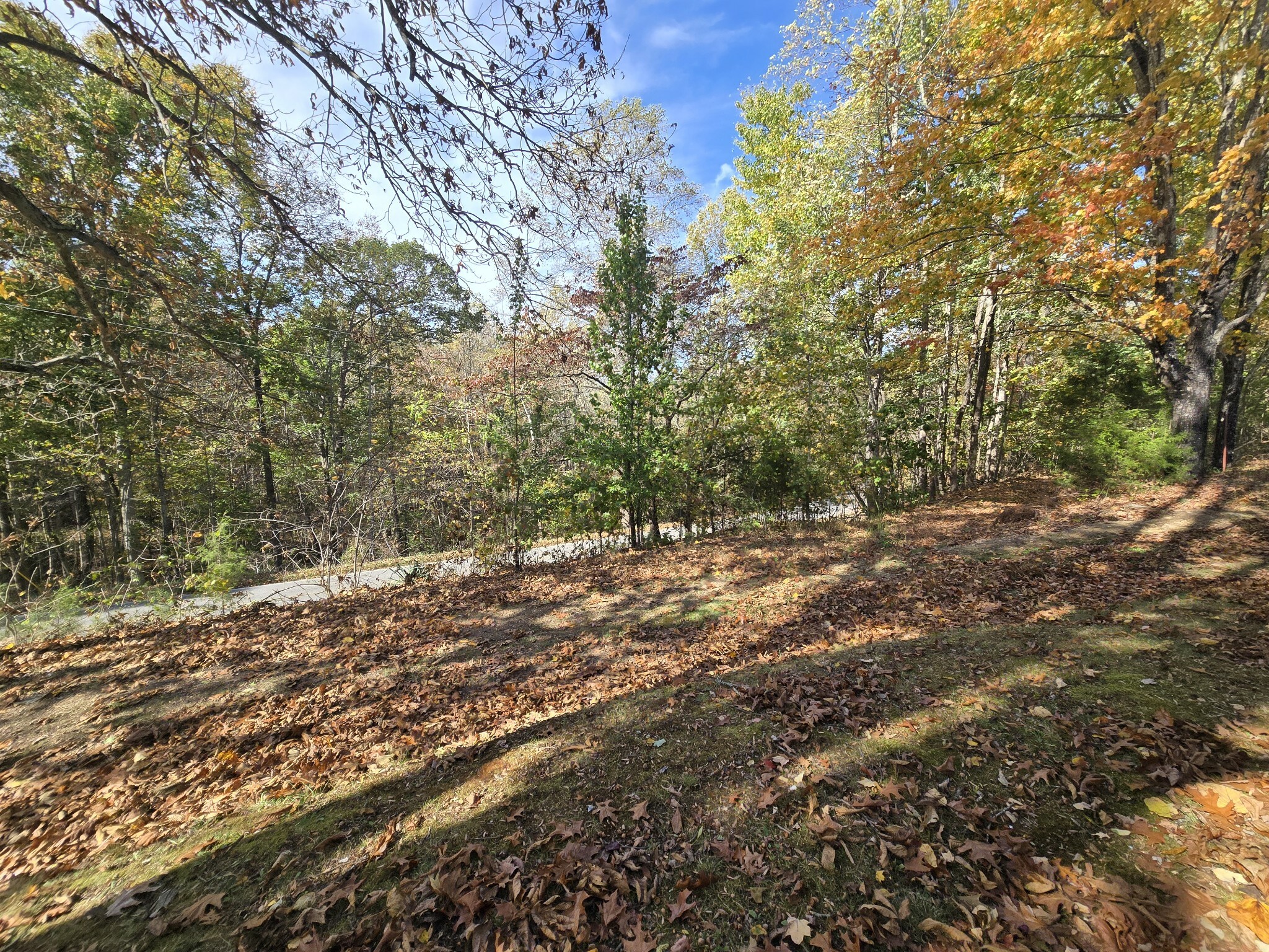 Property Photo:  2829 Hill Creek Rd  TN 37190 