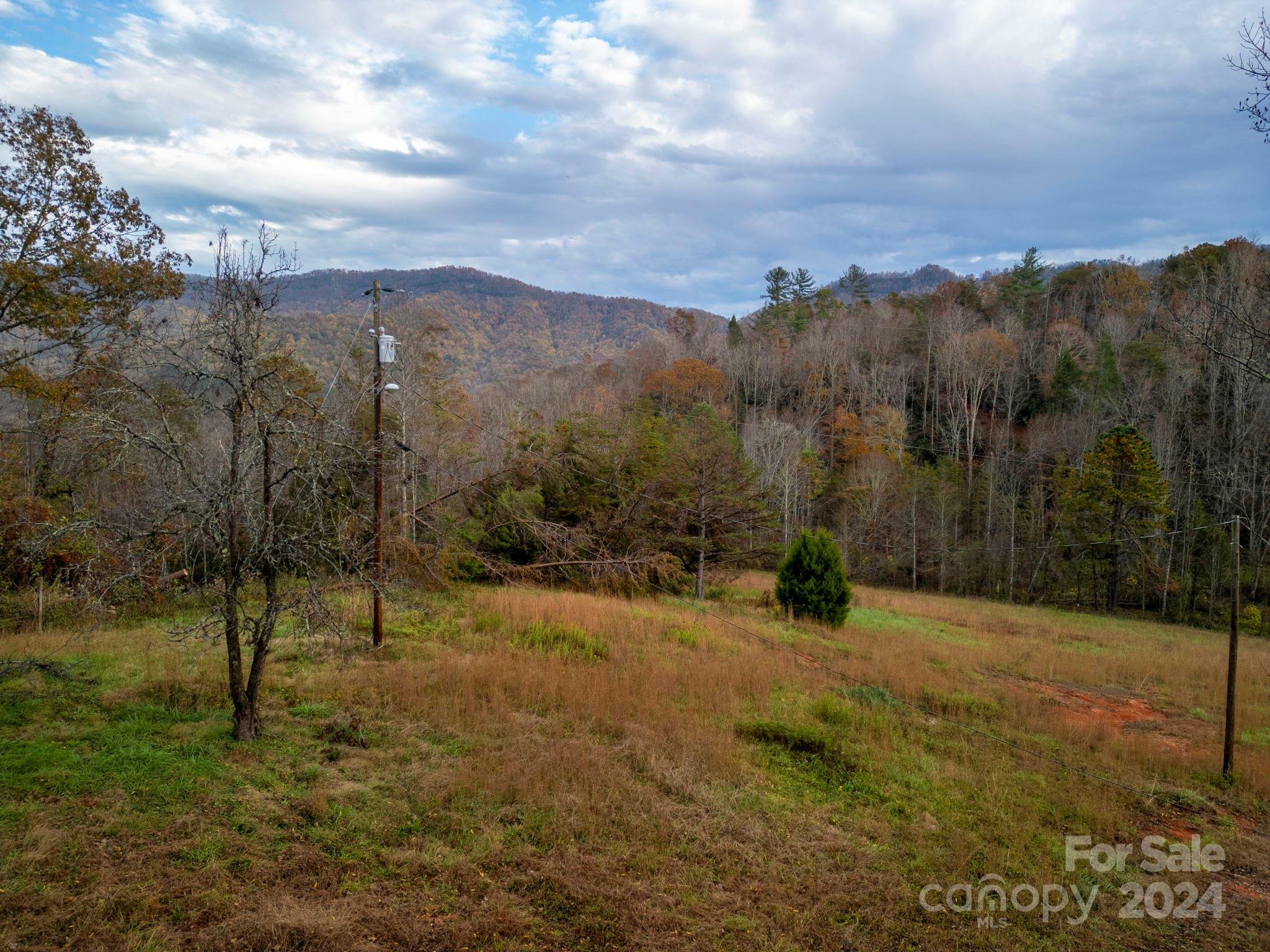 514 Davistown Church Road  Old Fort NC 28762 photo