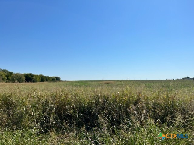 Tract 4 Airville Road  Temple TX 76501 photo