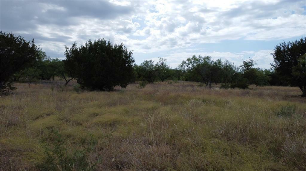Lot 1049 Frog Branch Court  Possum Kingdom Lake TX 76449 photo
