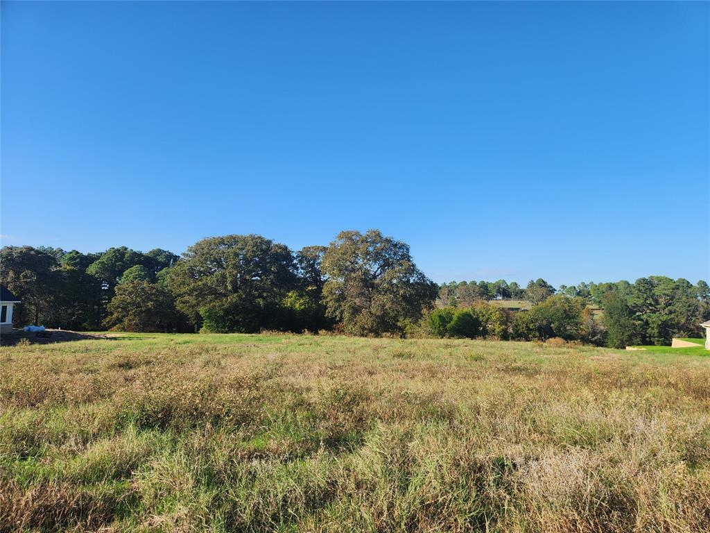 Property Photo: Lot 155 Lago Vista Drive TX 75752
