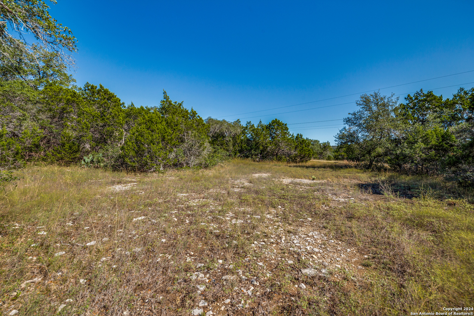 Property Photo:  468 County Road 2763  TX 78056 