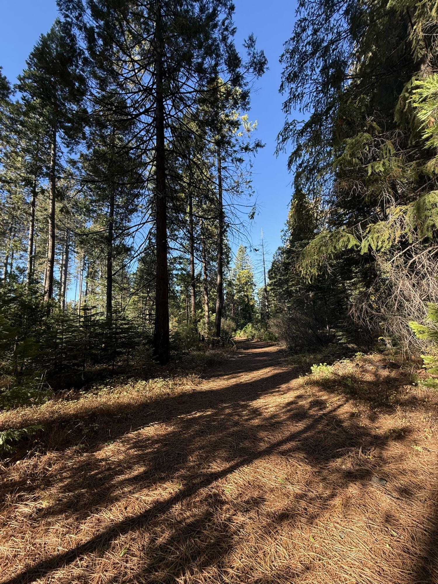 Property Photo:  Hidden Meadows Road  CA 96088 