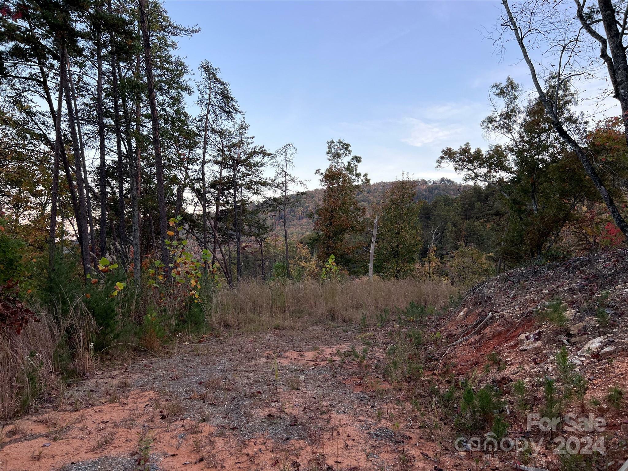 Property Photo:  V/L Laurel Branch Drive 22  NC 28746 