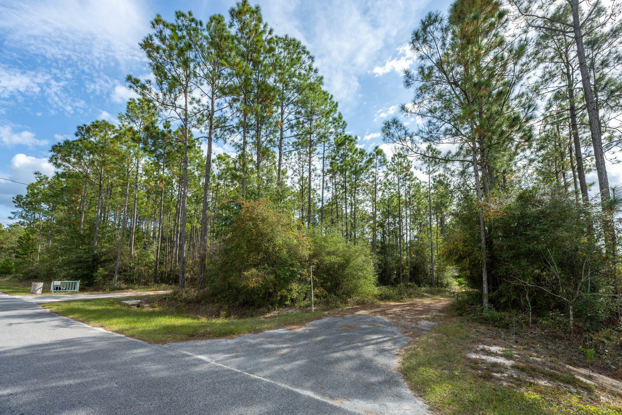 Property Photo:  526 Don Graff Road  FL 32439 