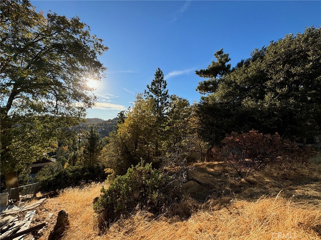 Property Photo: 0 Grass Valley Road CA 92352