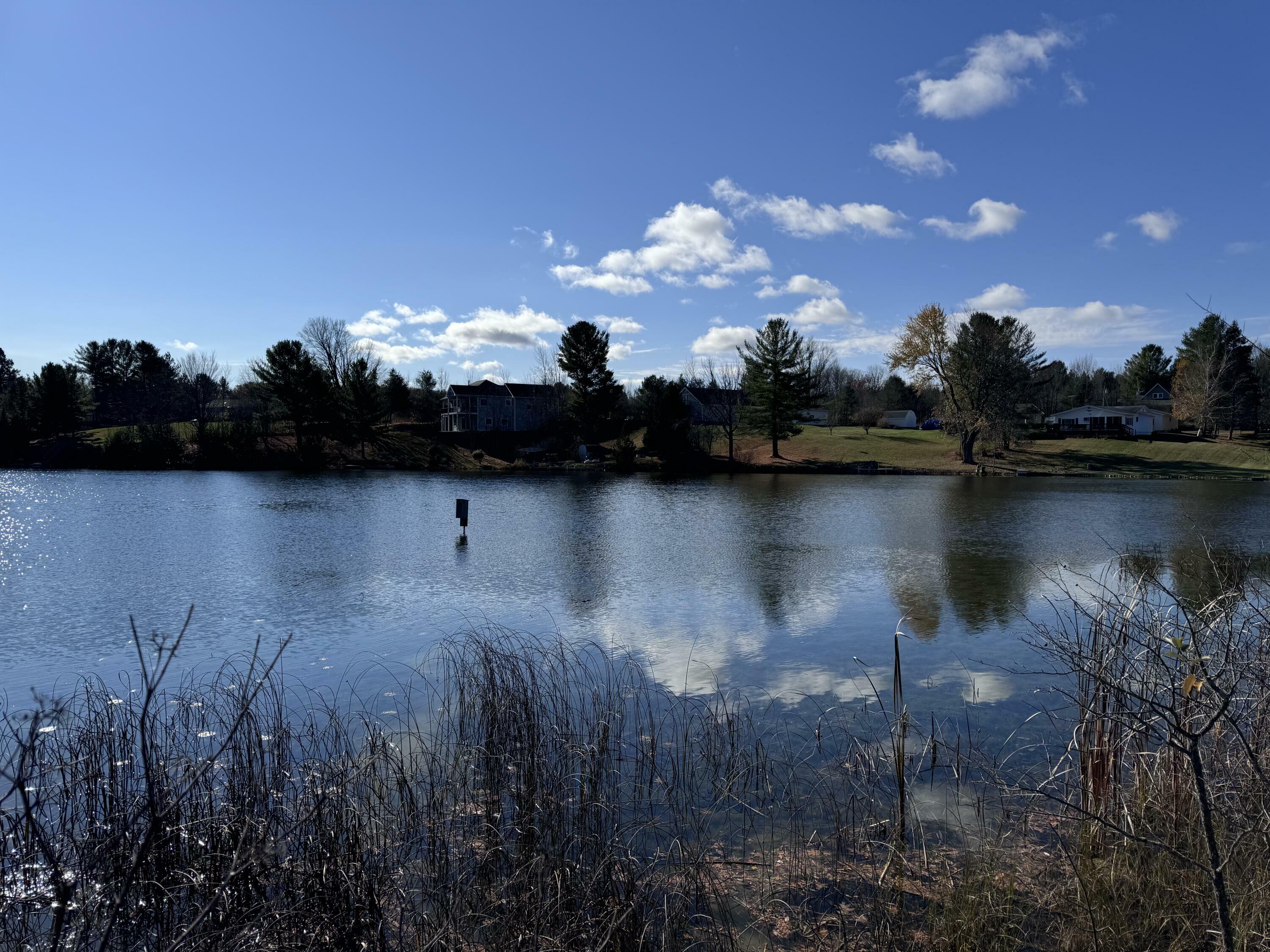 Property Photo: Off Twin Lakes Road MI 49721
