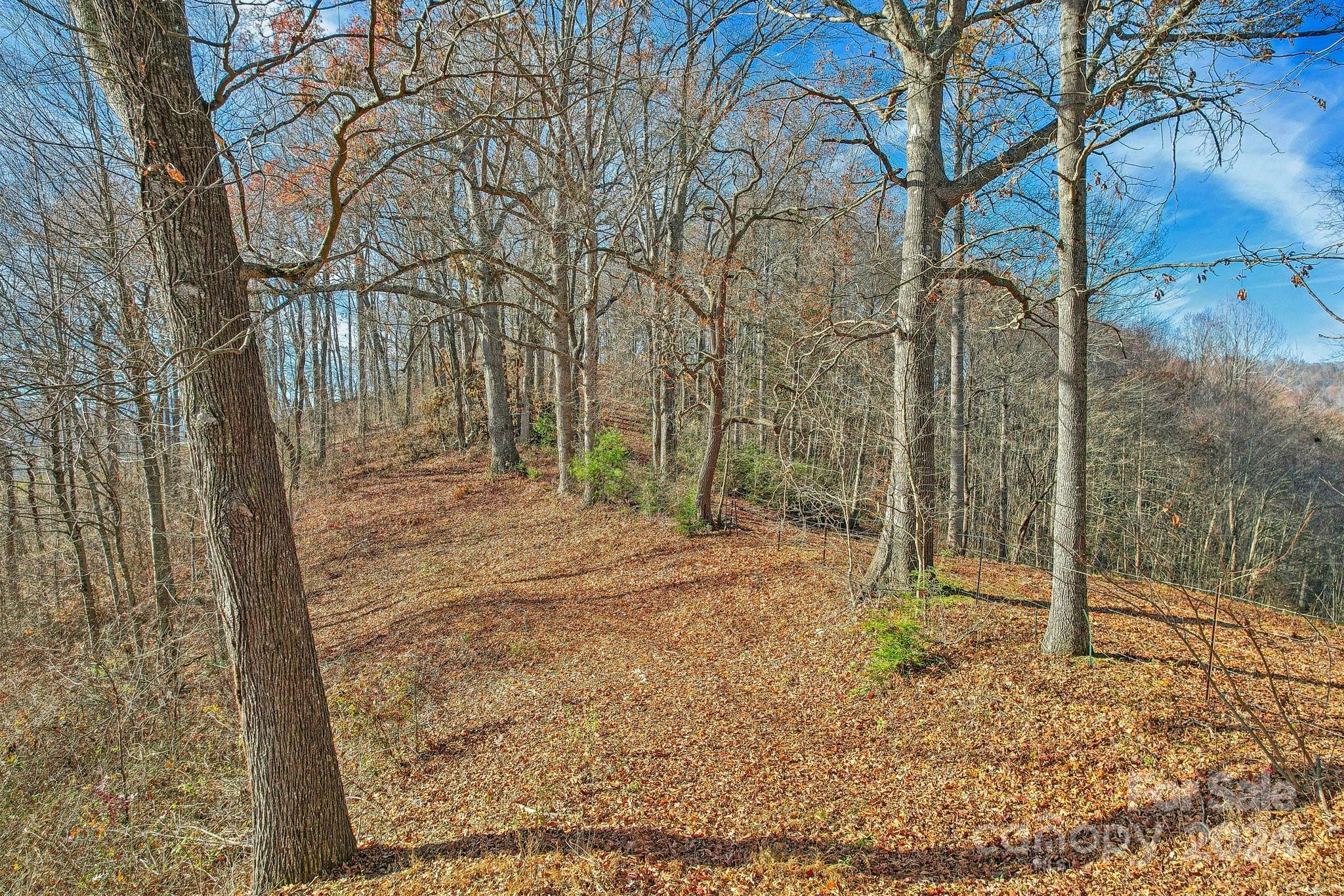 331 Silent Forest Drive  Canton NC 28716 photo