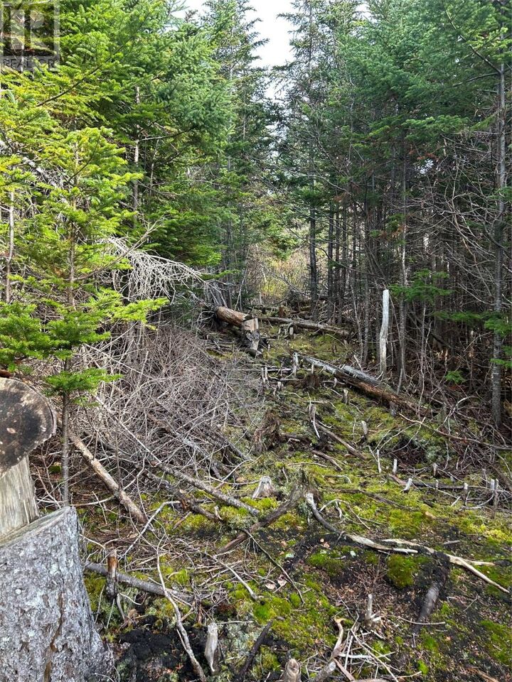 Property Photo:  Lot # 06 Smith Sound Road  NL A5A 3A1 