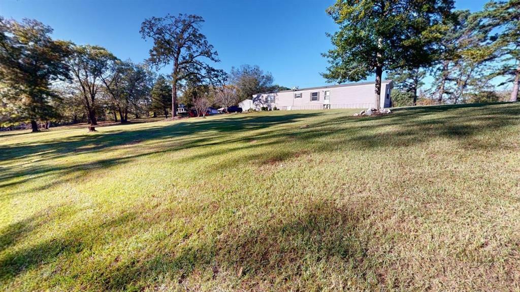 1899 Mount Pleasant Road  Hallsville TX 75650 photo