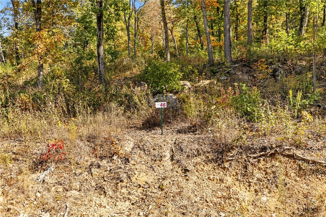 Property Photo:  Lot 46 Restore Ridge  AR 72601 